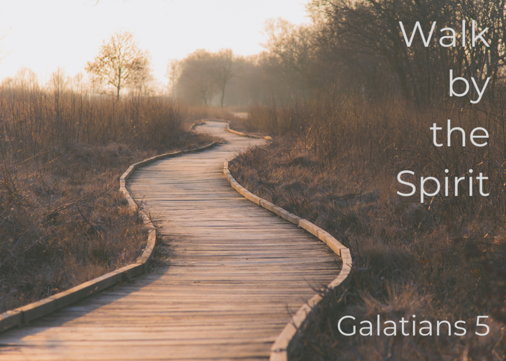 Walk by the Spirit — Goodness